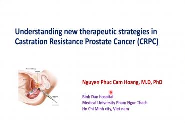 Understanding new therapeutic strategies in Castration Resistance Prostate Cancer (CRPC)