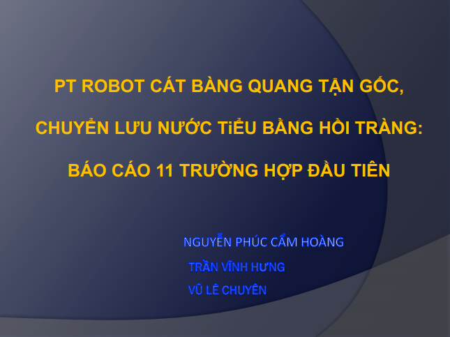 pt_robot_cat_bang_quang