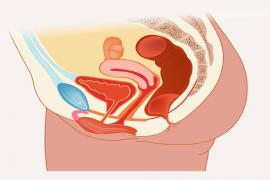 Female Urology and urinary functions
